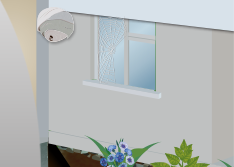 inspect exterior for wasp nests