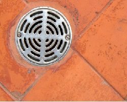 Silver drain cover surrounded by orange floor tile.