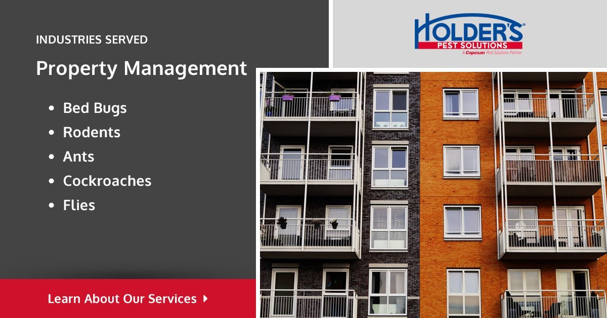 Property Management Pest Control Houston Pest Control Holder’s