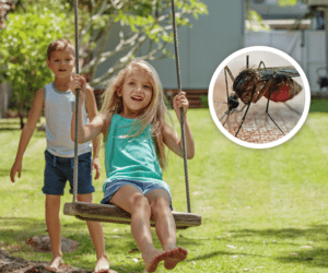 Young boy pushing young girl on swing in backyard.