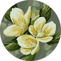 DW Avatar